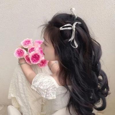 欣德·拉贾布之声